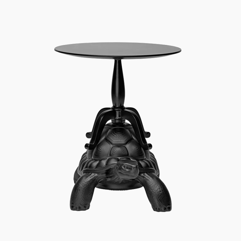 Turtle Carry Coffee Table