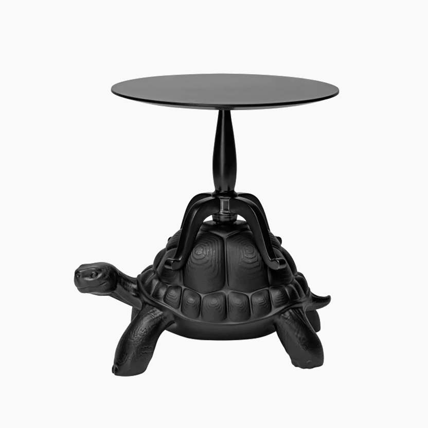 Turtle Carry Coffee Table