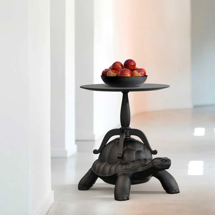 Turtle Carry Coffee Table