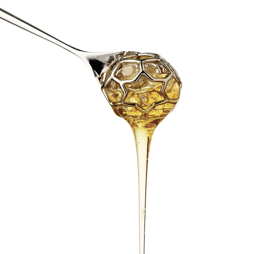Acacia  Honey Dipper
