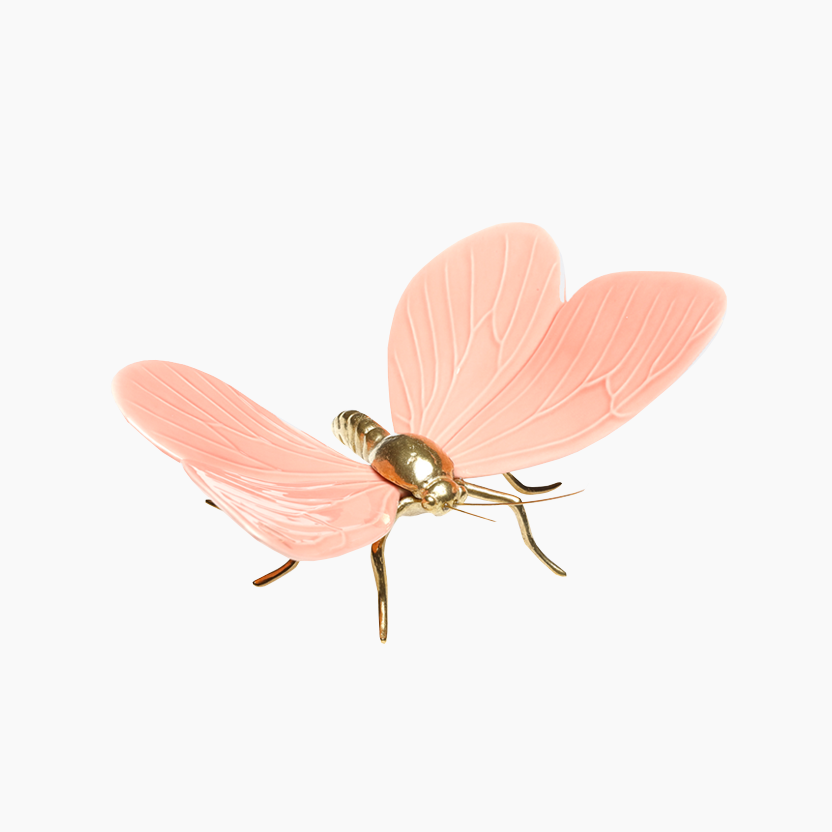 Esperança na vida das Borboletas Rosa e Dourado