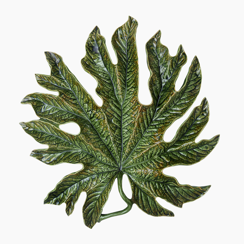 Folha de Castanheiro