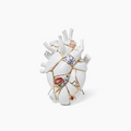 Vaso Love in Bloom - Kintsugi
