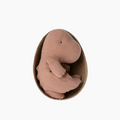 Gantosaurus in Egg Small  Old Rose