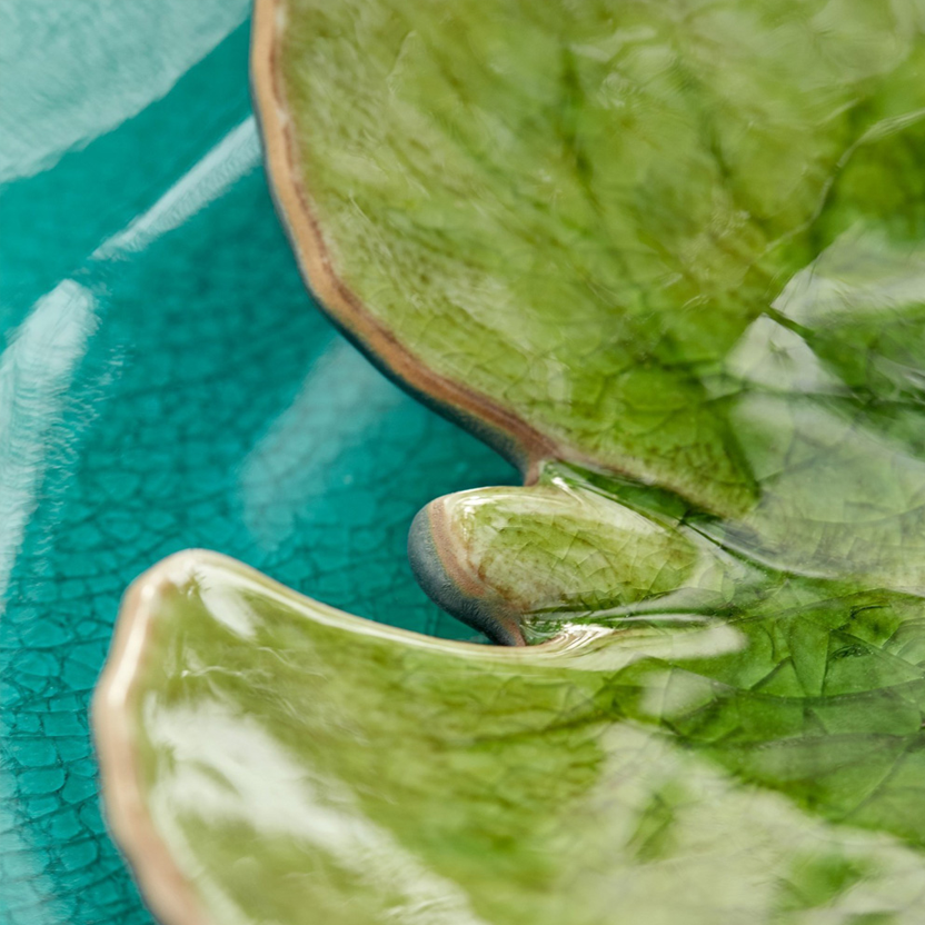 Folha de Alquemila  Riviera