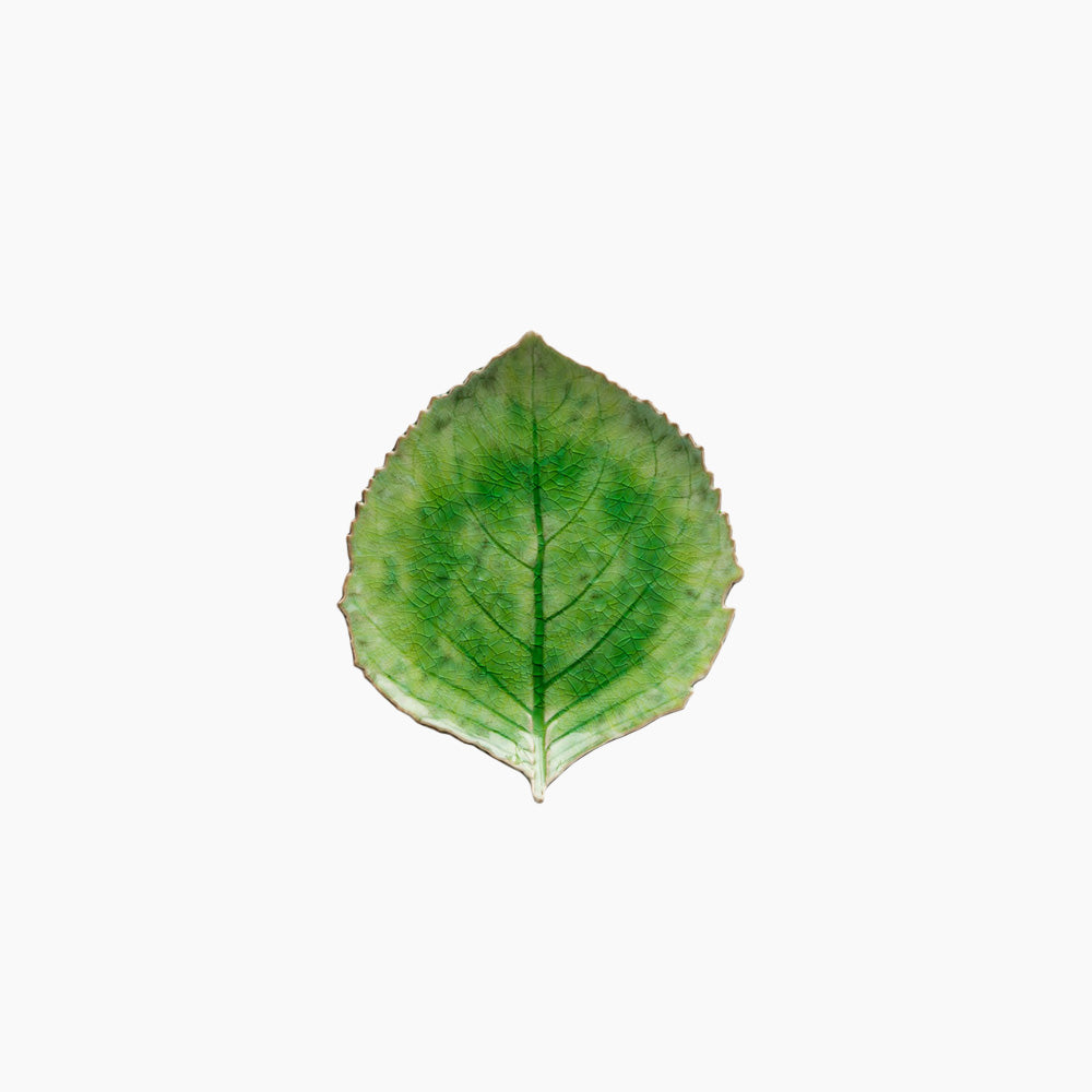 Prato Folha de Hortência