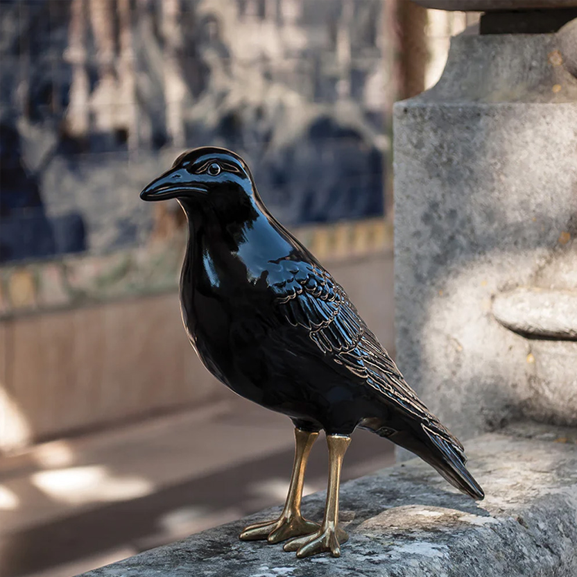 O Corvo Malandro  Laboratório d’ Estórias