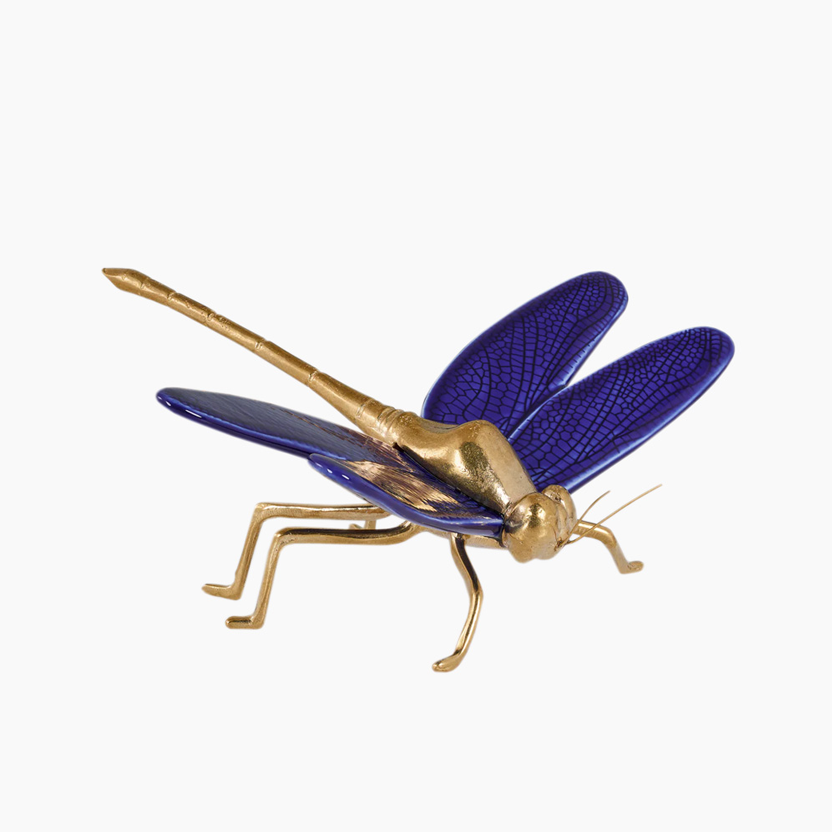 O Voo da Libelinha  Cobalto e Dourado