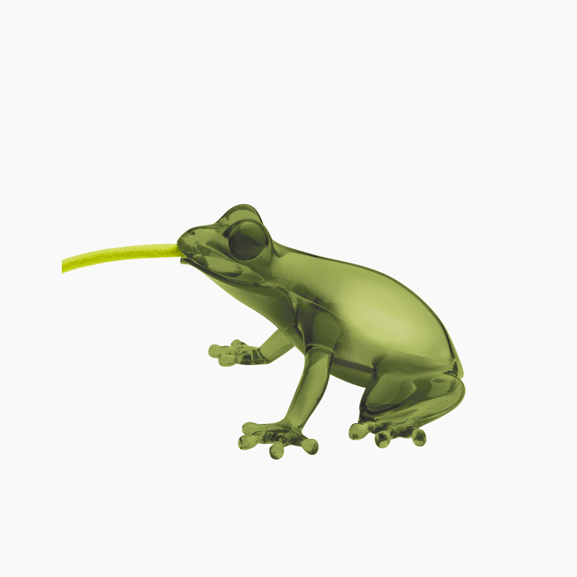 Hungry Frog  Esmeralda