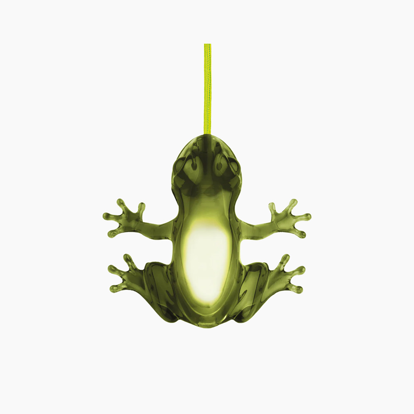 Hungry Frog  Esmeralda