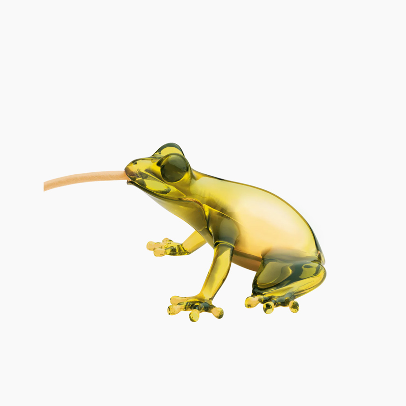 Hungry Frog  Topázio